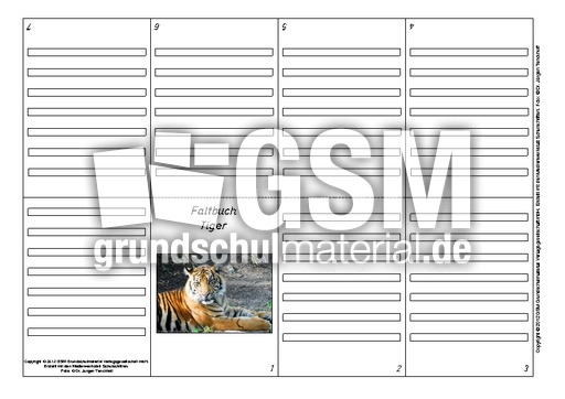 Faltbuch-Tiger-1.pdf